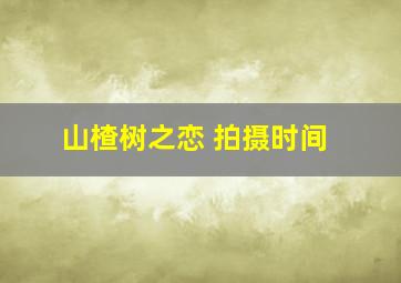 山楂树之恋 拍摄时间